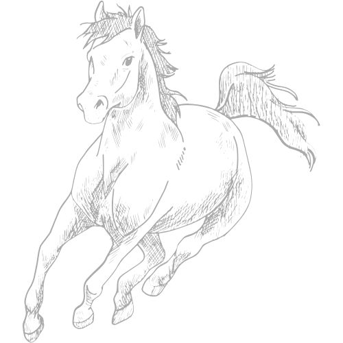 Pferd im Galopp
